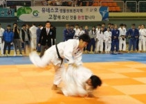 전북회장기 유도대회 고창서 열려