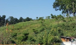전주 덕진공원에 걷고 싶은 생태테마 숲 조성