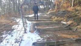 익산 배산공원, 통나무 무단방치 아찔