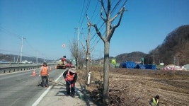 임실군, 쾌적한 가로환경 조성 팔걷어