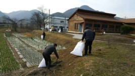 완주 경천 구룡천 새봄맞이 준비 한창