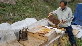 임실군, 양봉산업 발전 선도