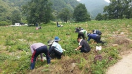 완주산업단지사무소 직원, 경천서 농촌일손돕기