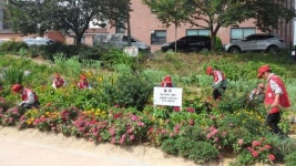 전주시 덕진구 우아2동 노인회 산책로 청소