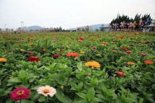 남원 구역사·요천변 가을여행지로 각광