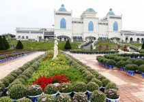 임실군 형형색색 국화 꽃 테마파크 수 놓아