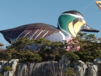 국내 최고의 사계 생태 명소 군산금강철새조망대