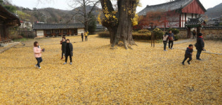 전주한옥마을 향교 늦가을 정취