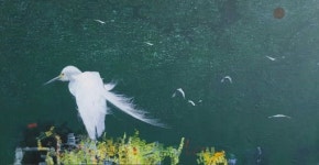익산예술의전당 미술관, 김해문화재단 교류전 선보여