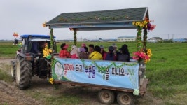 부안 백산면 우리밀 푸른들 경관보전축제 성황