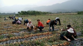 경기도 화성시, 자매결연 고산면 찾아 구슬땀
