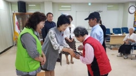 전주 덕진구 폐지 수거 어르신 안전 지킨다