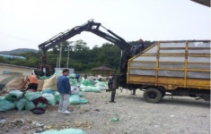 부안군 변산면사무소 격포항 주변 대청소
