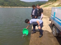 진안 뱀장어 치어 방류, 용담호 풍년 기원