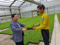 서익산농협, 조합원 대상 배추종묘 무상공급