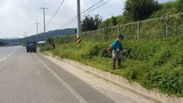 임실군 쾌적환 가로환경조성 구슬땀