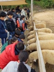 고창 청정유기농 낙농영농조합법인, 아동초청 농원 무료체험