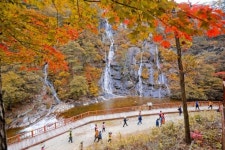 만추(晩秋)로 물든 방화동 가족휴가촌·오토캠핑장