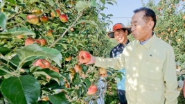 장수군농업기술센터 장수사과 봄부터 풍년농사 준비철저