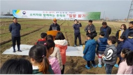 전주용덕초, 밀싹이 쑥쑥 자라게 추억의 밀밭 밟기