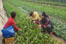 순창군 성공한 농업인·초보 귀농인 멘토링 시스템 운영 호평