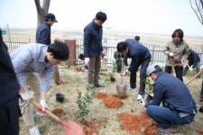 새만금사업단 제73회 식목일 희망나무 심기 행사