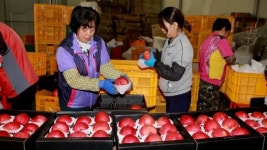 장수군, 농산물·가공상품 수출물류비 지원