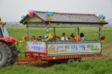 제10회 우리밀 푸른들 경관보전 축제