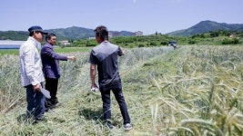 장수군농업기술센터 슈퍼 농작물 조사료 생산 확대