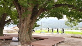 남원시 5개마을 보호수 8그루에 쉼터 조성