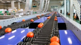 장수군 과수거점산지유통센터 보완 공모사업 선정