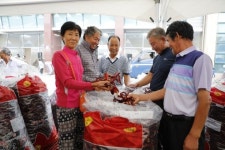 진안고원 마이산 고추시장 14일 개장