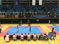 대한태권도협회장기 품새대회 남원서 개최