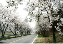 김제모악산축제 모악산, 상생·평화의 길을 걷다