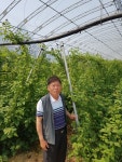 고창 희성농장 도덕현 대표 지금까지 이런 복분자는 없었다