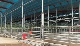 무허가 축사 적법화 정책 맹점 드러나 보완 시급