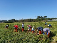 고창군의회 농가 일손돕기 활동 펼쳐