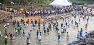 완주 와일드푸드축제 쌩쌩 신바람 체조대회 성료