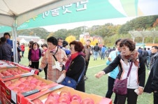 사과 골 무풍면민의 날 26일 개최