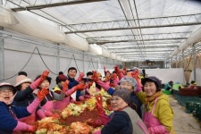 김제 금만농협 사랑의 김장 나눔 행사 열려