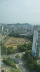 전주 평화동 지시제 조성공사 추진과정 비판 확산