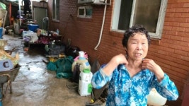 장맛비에도 복구와 사투 벌이는 전북 남원 금지면 농민들