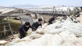 폭염속 수해복구 자원봉사