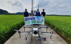 금마농협, 드론 이용 벼 병충해 방제 완료