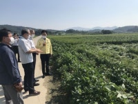 전북농협 정읍 태인 태풍피해 점검