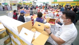전주농협공판장중도매인9번 | 추석 앞둔 전주농협공판장