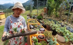 <귀농귀촌 기획> 꽃피는 산골농원 김승일·김화자씨 부부