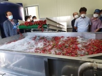 고창농협 부안지점 고추세척기 시연회 개최