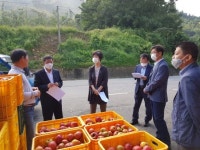 전북농업기술원장, 장수군 사과 재배 농가 영농현장 방문