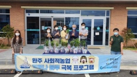 코로나블루 반려식물로 극복해요